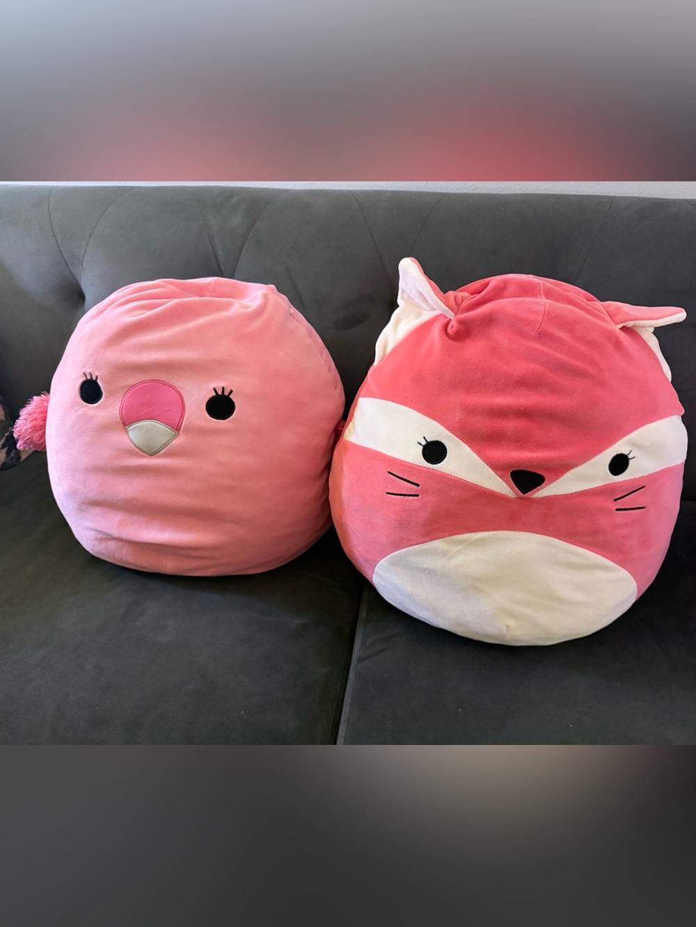 Flamingo and Fox Large Squishmallows